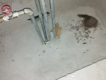 襄州卫生间测漏水价格明细